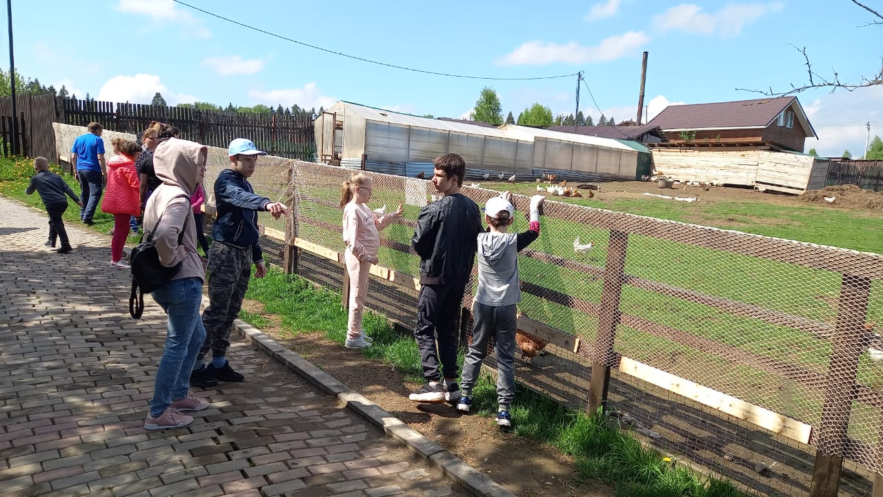 Бабин двор солнечногорск новости. Бабин двор.